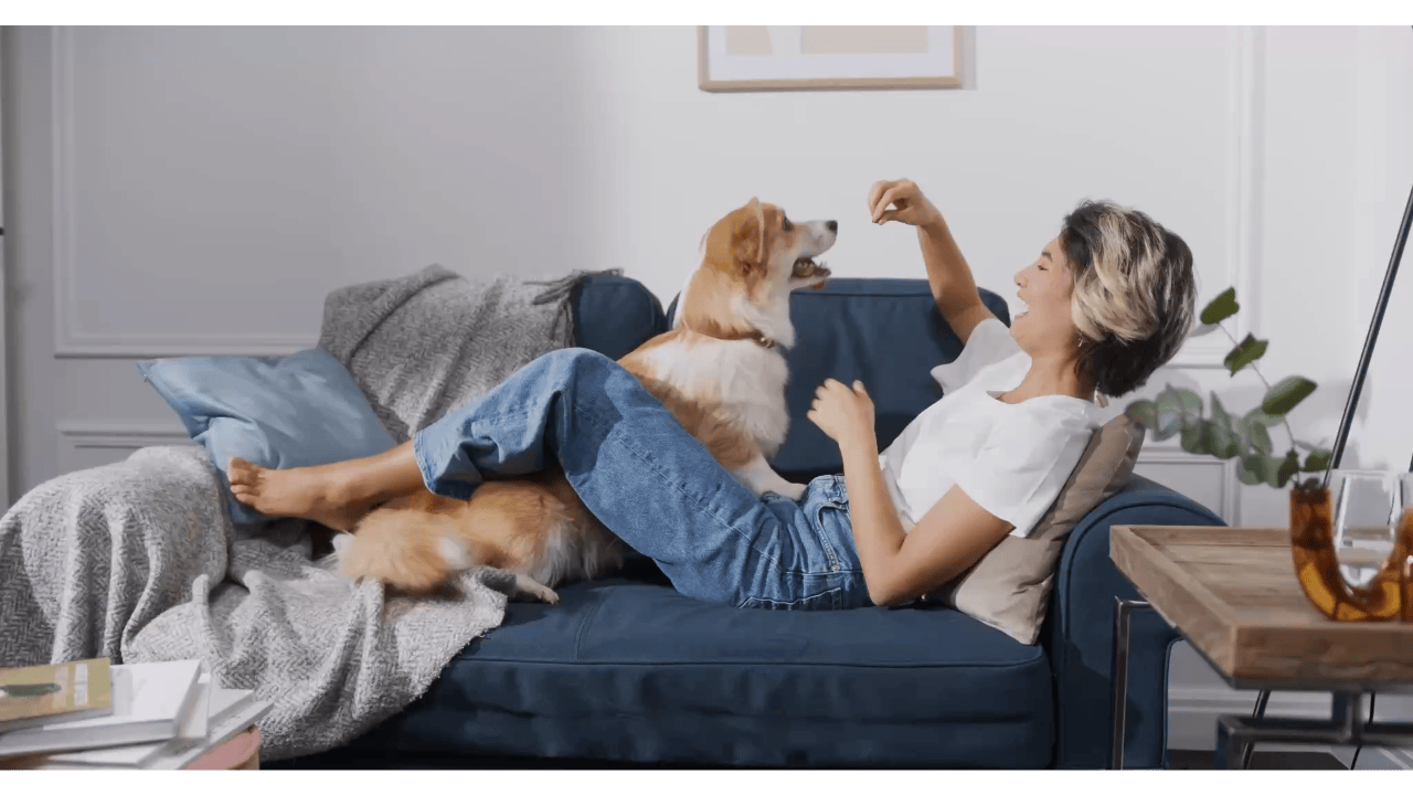 Know exactly who's caring for your dog.
